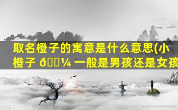 取名橙子的寓意是什么意思(小橙子 🐼 一般是男孩还是女孩)